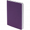 Набор Welcome Pack, фиолетовый с логотипом в Балашихе заказать по выгодной цене в кибермаркете AvroraStore