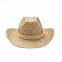Ковбойская шляпа из натуральной с логотипом в Балашихе заказать по выгодной цене в кибермаркете AvroraStore