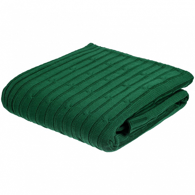 Плед Remit, темно-зеленый с логотипом в Балашихе заказать по выгодной цене в кибермаркете AvroraStore
