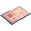 Обложка для паспорта Shall, синяя с логотипом в Балашихе заказать по выгодной цене в кибермаркете AvroraStore