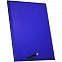 Награда Profi, синяя с логотипом в Балашихе заказать по выгодной цене в кибермаркете AvroraStore