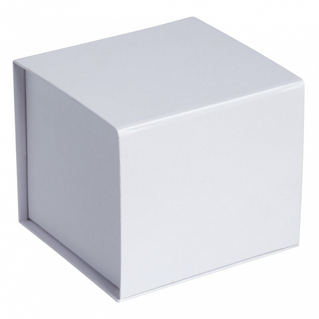 Коробка Alian, белая с логотипом в Балашихе заказать по выгодной цене в кибермаркете AvroraStore