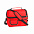 Термосумка BEMEL, красный, 25 x 24 x 15 см, полиэстер 600D с логотипом в Балашихе заказать по выгодной цене в кибермаркете AvroraStore