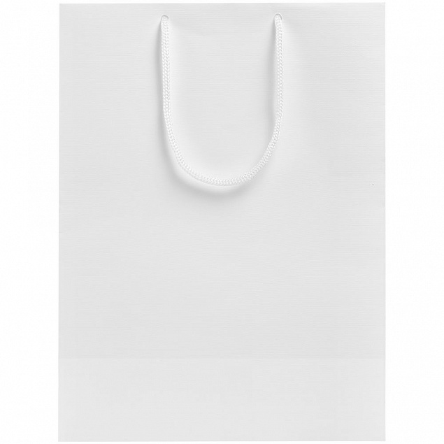 Пакет «Крафт», белый, M с логотипом в Балашихе заказать по выгодной цене в кибермаркете AvroraStore