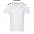 Рубашка поло StanPremier Бордовый с логотипом в Балашихе заказать по выгодной цене в кибермаркете AvroraStore