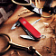 Офицерский нож SPARTAN 91, красный с логотипом в Балашихе заказать по выгодной цене в кибермаркете AvroraStore
