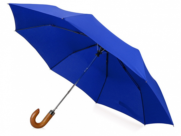 Зонт складной Cary с логотипом в Балашихе заказать по выгодной цене в кибермаркете AvroraStore