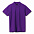 Рубашка поло мужская SPRING 210, бежевая с логотипом в Балашихе заказать по выгодной цене в кибермаркете AvroraStore