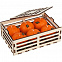 Набор свечей Citrus Box с логотипом в Балашихе заказать по выгодной цене в кибермаркете AvroraStore