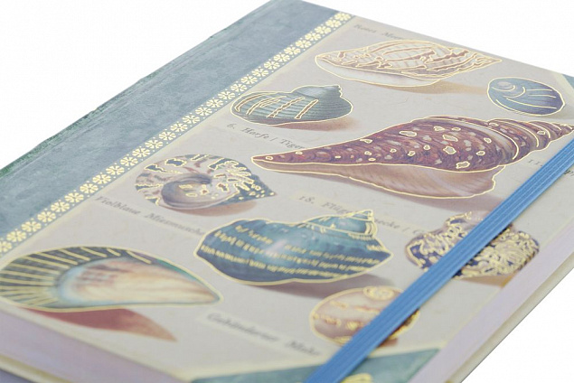 Книга для записей Shells с логотипом в Балашихе заказать по выгодной цене в кибермаркете AvroraStore