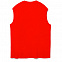 Жилет оверсайз унисекс Tad в сумке, красный с логотипом в Балашихе заказать по выгодной цене в кибермаркете AvroraStore