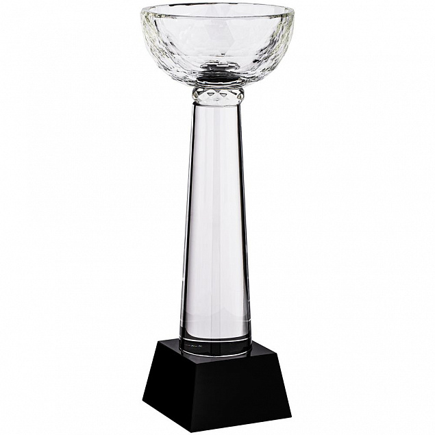 Кубок Cupture, большой с логотипом в Балашихе заказать по выгодной цене в кибермаркете AvroraStore