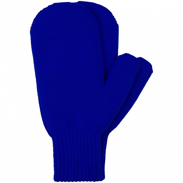 Варежки Life Explorer, синие с логотипом в Балашихе заказать по выгодной цене в кибермаркете AvroraStore