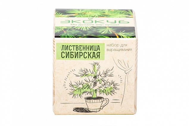 Набор для выращивания «Экокуб», лиственница сибирская с логотипом в Балашихе заказать по выгодной цене в кибермаркете AvroraStore