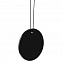 Ароматизатор Ascent, черный с логотипом в Балашихе заказать по выгодной цене в кибермаркете AvroraStore
