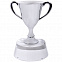 Стела  "Кубок победителя" в подарочной упаковке с логотипом в Балашихе заказать по выгодной цене в кибермаркете AvroraStore