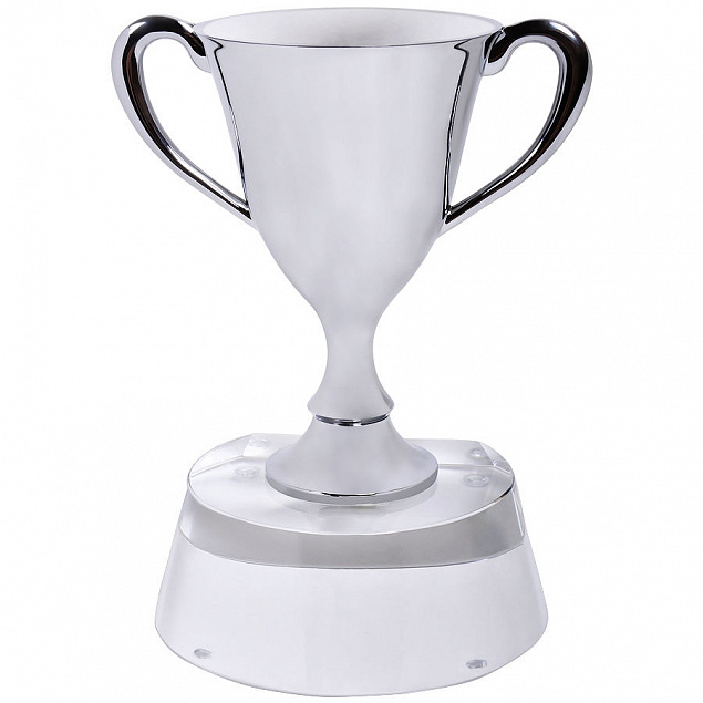 Стела  "Кубок победителя" в подарочной упаковке с логотипом в Балашихе заказать по выгодной цене в кибермаркете AvroraStore