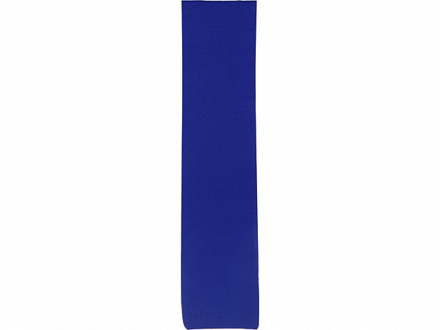 Шарф Dunant, классический синий с логотипом в Балашихе заказать по выгодной цене в кибермаркете AvroraStore