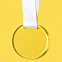 Медаль GLORY в подарочной упаковке, 70х66х5 мм, акрил с логотипом в Балашихе заказать по выгодной цене в кибермаркете AvroraStore