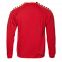 Толстовка унисекс 53 Красный с логотипом в Балашихе заказать по выгодной цене в кибермаркете AvroraStore