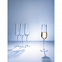 Бокал для шампанского Purismo с логотипом в Балашихе заказать по выгодной цене в кибермаркете AvroraStore