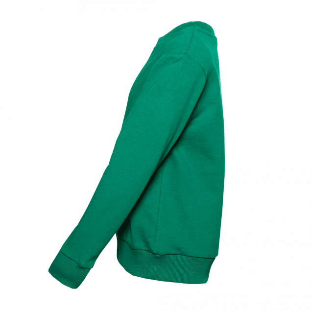 Толстовка  Зелёный с логотипом в Балашихе заказать по выгодной цене в кибермаркете AvroraStore