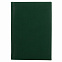 Ежедневник City Winner, А5, датированный (2022 г.), зеленый с логотипом в Балашихе заказать по выгодной цене в кибермаркете AvroraStore