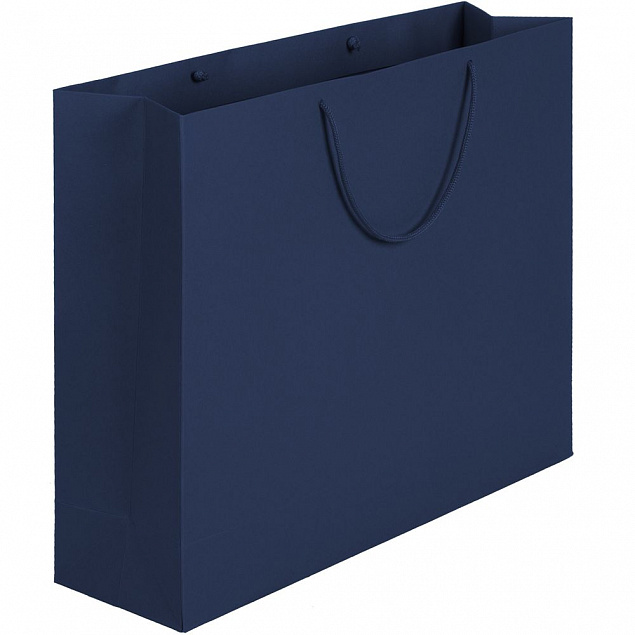 Пакет Ample L, синий с логотипом в Балашихе заказать по выгодной цене в кибермаркете AvroraStore