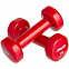 Гантель Heracles 1 кг, красная с логотипом в Балашихе заказать по выгодной цене в кибермаркете AvroraStore
