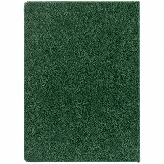 Ежедневник New Latte, недатированный, зеленый с логотипом в Балашихе заказать по выгодной цене в кибермаркете AvroraStore